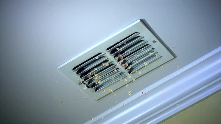 Best Best Air Duct Cleaning Company  in Hastings, MN