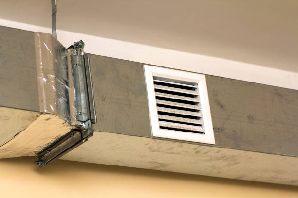 Best Air Duct Sanitizing Services  in Hastings, MN
